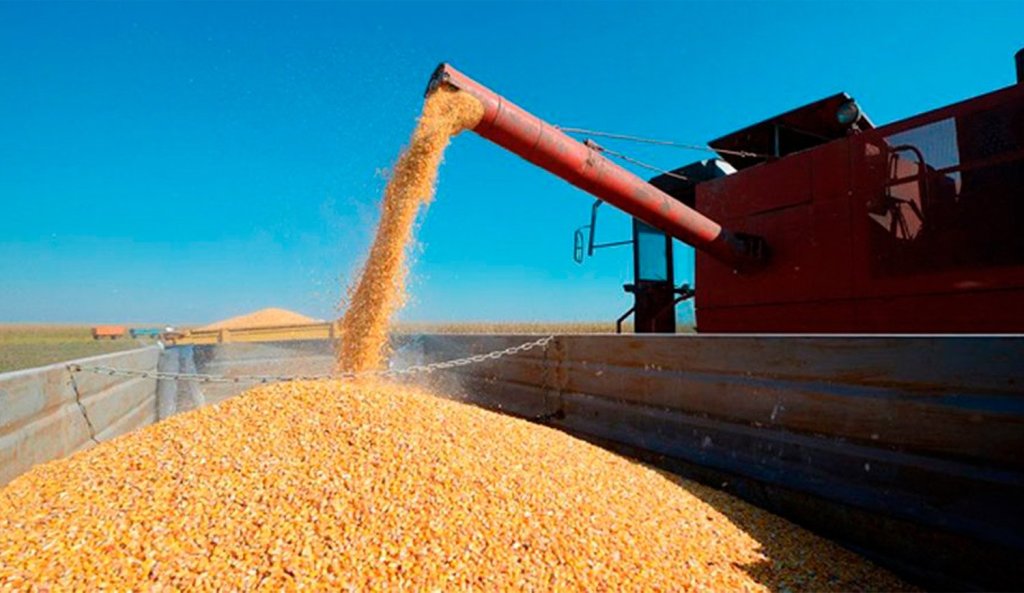 Cerealeras lograron una liquidación de US$ 2.451 millones en&nbsp;agosto