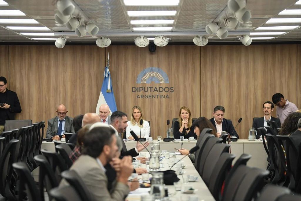 Diputados dictaminan a favor de bajar la edad de imputabilidad a 14&nbsp;años