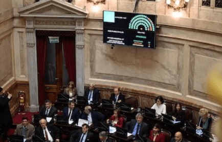 Senado: la oposición dejó sin efecto el veto de Milei y reactivó la ley de emergencia en&nbsp;discapacidad