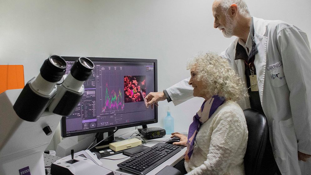 Científicos argentinos desarrollan biosensor para detectar dengue en menos de 10&nbsp;minutos